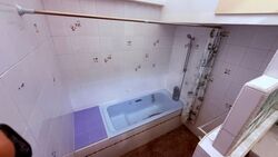 Draycott Park (D10), Terrace #528003561